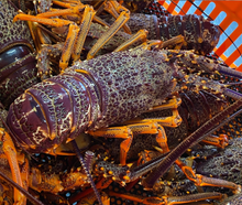 Load image into Gallery viewer, Xmas Seafood Hamper Bundle
