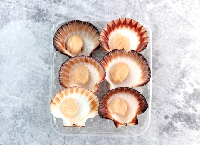Scallops Half Shell Roeless (Japan) 6 pcs