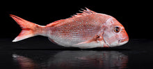 Load image into Gallery viewer, 10KG Whole Snapper (Small - Medium) Frozen
