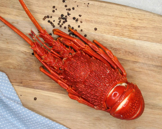 Whole Red Crayfish Cooked (Tas)