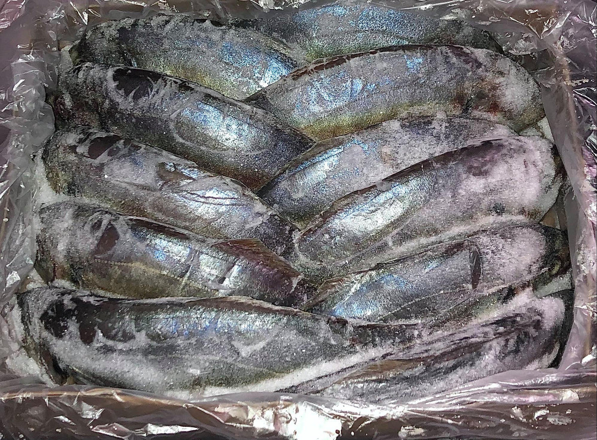 Whole NZ Trevally Frozen