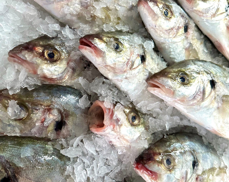 Fresh Trevally Cuts 1KG