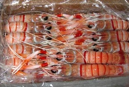 Scampi Whole NZ (A Grade) Small