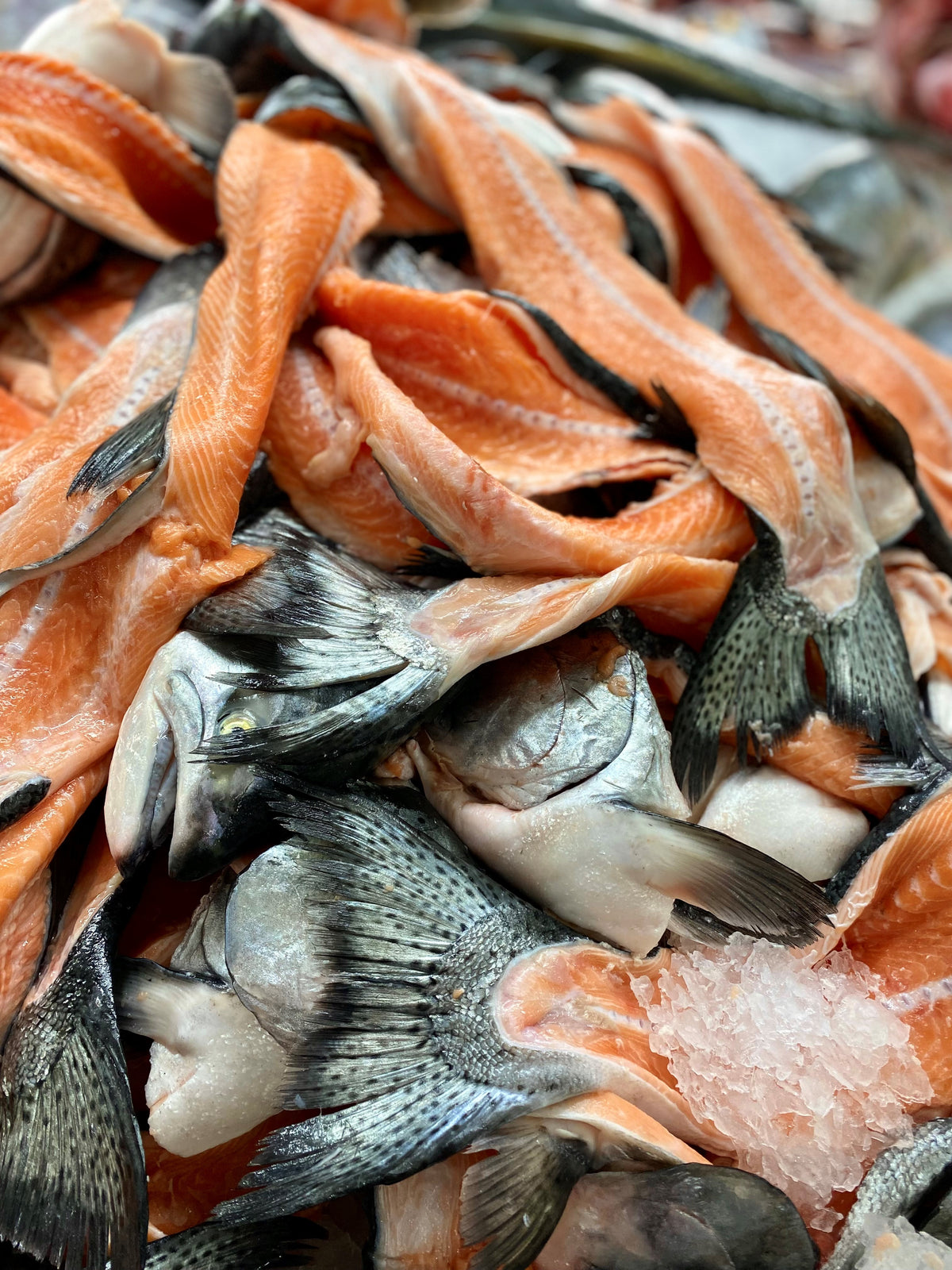 Fresh Salmon Cuts 1KG