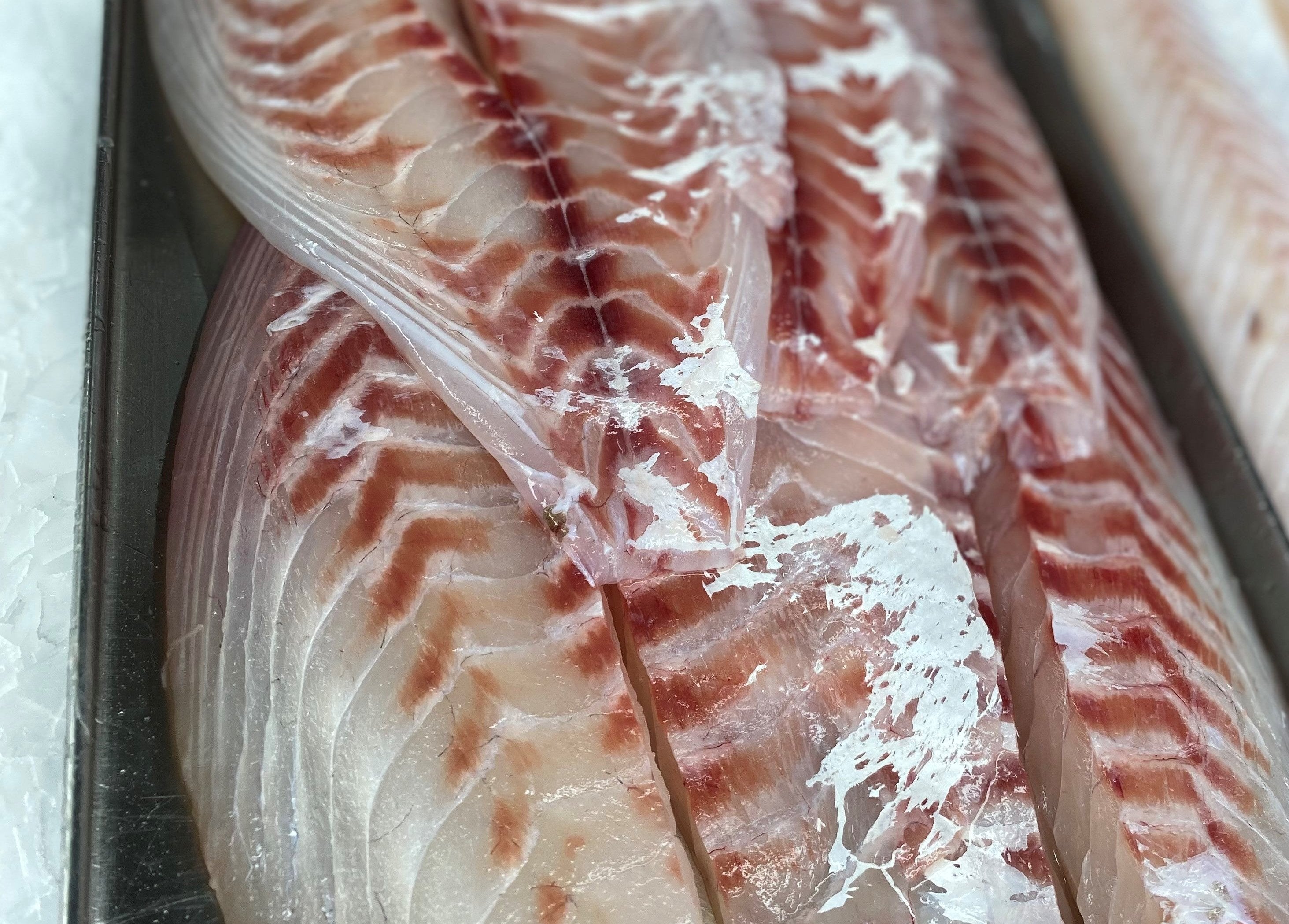 5KG NZ Snapper Fillets Frozen – Scott Seafood