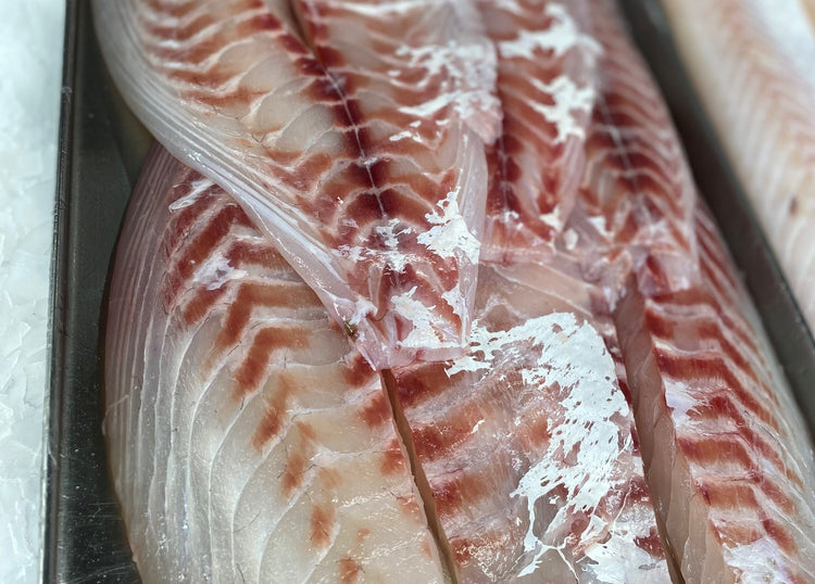 5KG NZ Snapper Fillets Frozen