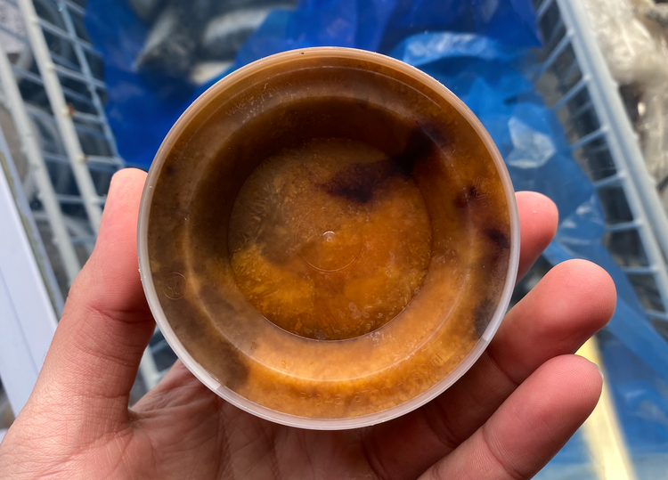 Cando NZ Kina Pot Frozen (150G)
