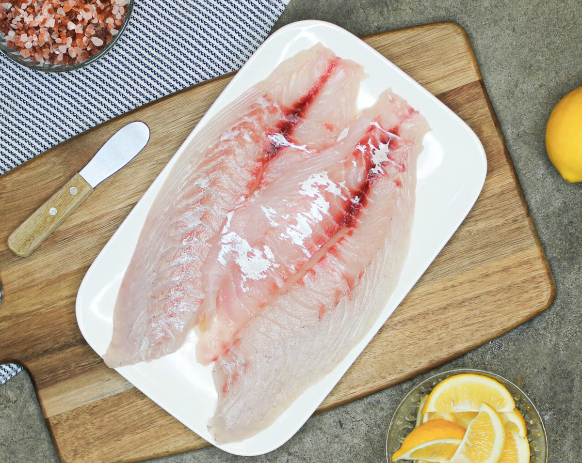 5KG Fresh NZ Snapper Fillets